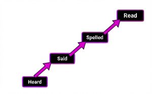 Heard-Said-Spelled-Read